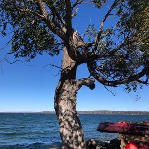 Meet your Posher, Brenda